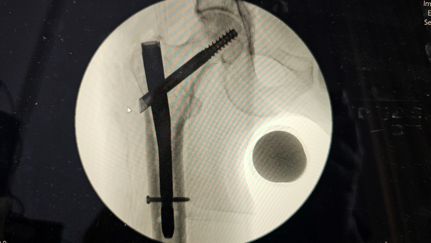 Figure 7